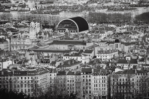 Désinsectisation dératisation Grande-Synthe